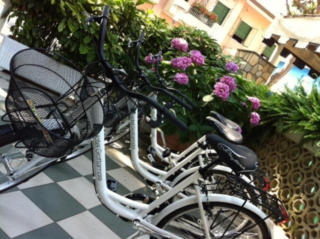 Hotel Grottamare Lido di Jesolo Exteriör bild